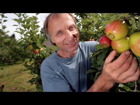 Video: Growing Topaz Apples - Informationen zur Ernte und Verwendung von Topas-Äpfeln