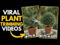 How To Create VIRAL AI Plant Trimming Videos for FREE (New Viral Niche)
