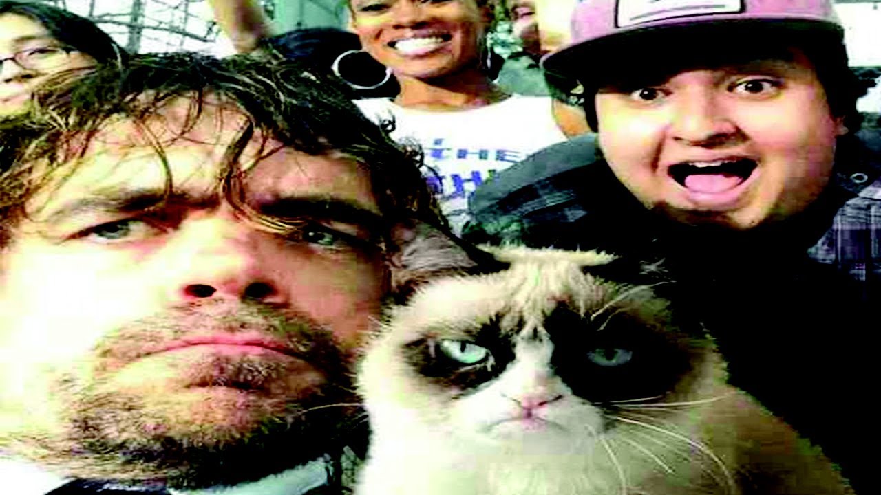 Epic Funny Animal Selfies