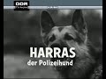 Rendezvous mit Unbekannt (1969) / Harras, der Polizeihund (1966)