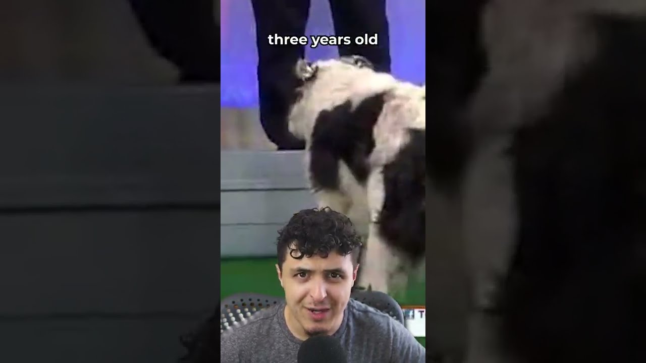 Meet The Smartest Dog In World 
