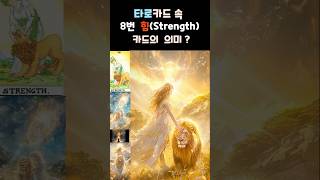 [오늘의타로] 힘은 싸우는 게 아니라 조율하는 것이다 / 타로카드 8번 힘 카드의 의미는 #벽라 #마젠타미래학교 #타로배우기 #한국타로협회