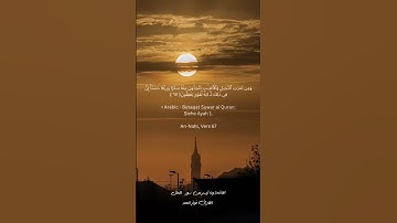 الفاتحة والنحل( 65-70) القارئ فواز الحمد