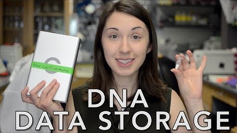 Storing Data in DNA?! w/ Dina Zielinski