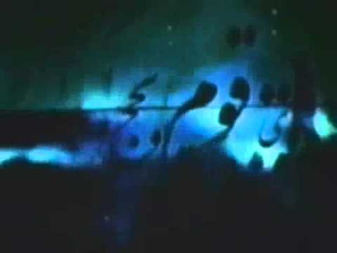 داریوش غلام قمر شاعر مولانا