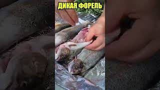 ДИКАЯ ГОРНАЯ ФОРЕЛЬ В АЛМАТЫ #казахстан #форель #рыбалка