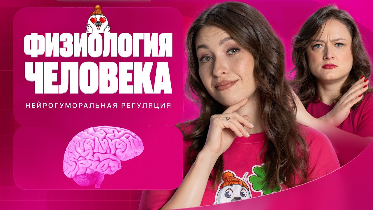 7. Физиология человека. Нейро-гуморальная регуляция | Полугодовик | ЕГЭ-2026 по биологии
