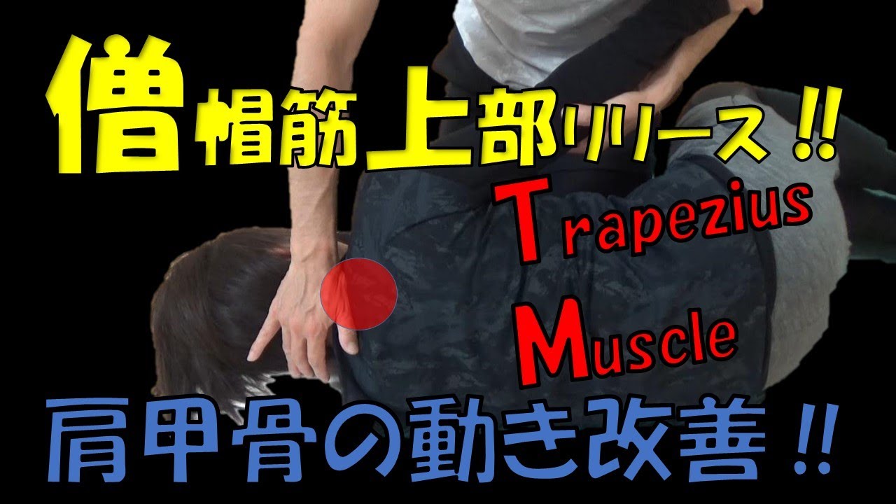 vol.122 僧帽筋上部をあの手この手でリリースしてみた‼