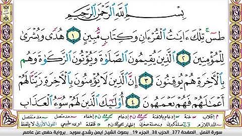 ايمن سويد سورة النمل مكتوبة