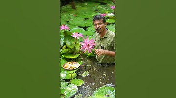 You Can Actually Eat Lotus Flowers! 🍽️🌺 #foodsurprise