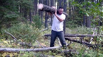 Log Cabin 2 - Bushcraft Shelter - Cutting and stacking logs for the foundation