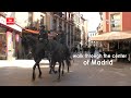 Paseo por el centro de Madrid. Walk through the center of Madrid. Прогулка по центру Мадрида.