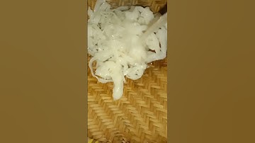 Thumbnail of begini cara mengolah kwetiau basah sebelum dimasak #tips#masakkwetiau#short#kwetiaubasah