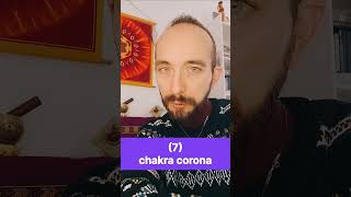 Quali sono e dove si trovano i 7 chakra principali (chakra maggiori)?
