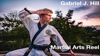 Martial Arts Reel  - Gabriel J. Hill