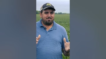 Southwest Missouri Soybean Farmer Manages SCN