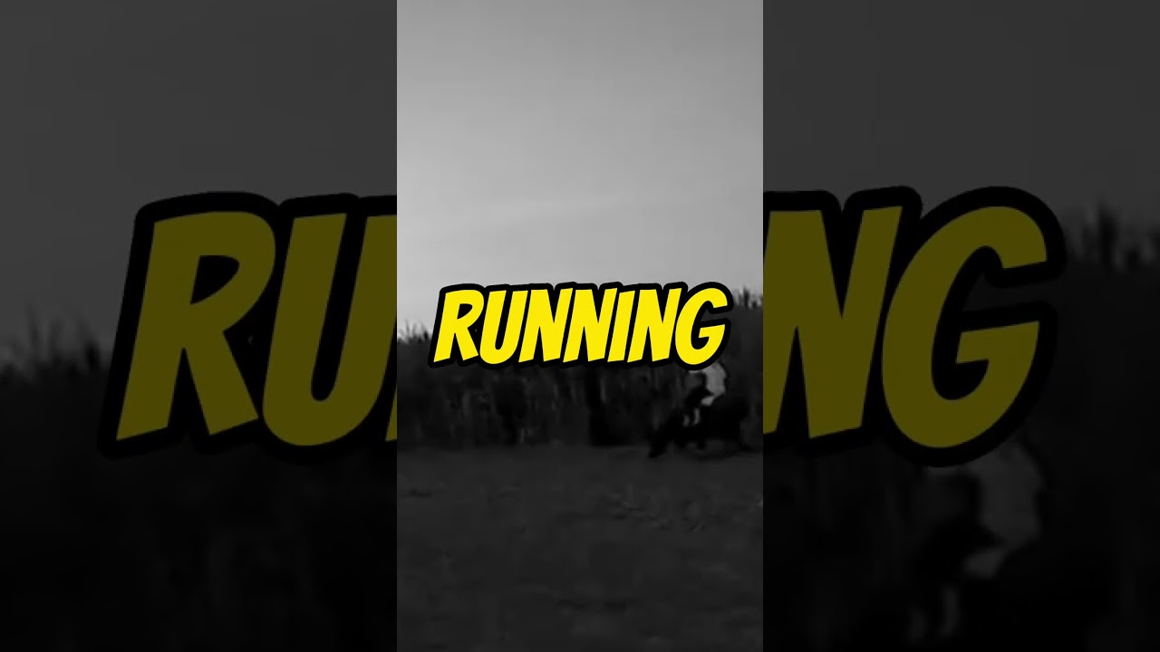 6th longest film - Evolution of a Filipino Family