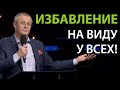 Избавление на виду у всех. Александр Шевченко