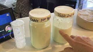 EASIEST Milk Kefir Making Process (w/ Kefir Cage!) - Description Box is LOADED with Info Links