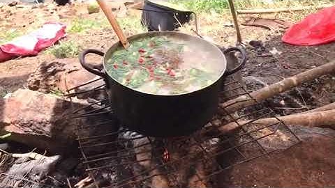 Lâu lâu trổ tài nấu cháo cá rô phi cho anh em ăn một bữa , bắt lên làm nấu cháo luôn