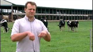 Doc Sanders: Cow Power
