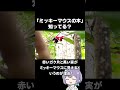 「ミッキーマウスの木」知ってる？ #vlog #植物園  #ソロ活
