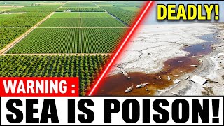 Footage From California Shows America's Poison Sea Nobody Expected