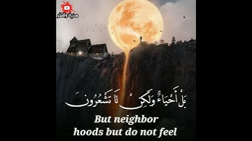 {يَا أَيُّهَا الَّذِينَ آَمَنُوا اسْتَعِينُوا بِالصَّبْرِ} حالات القارئ: محمد اسعد هلال تلاوة خاشعة