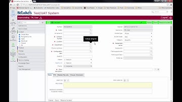 ServiceNow:  Forms