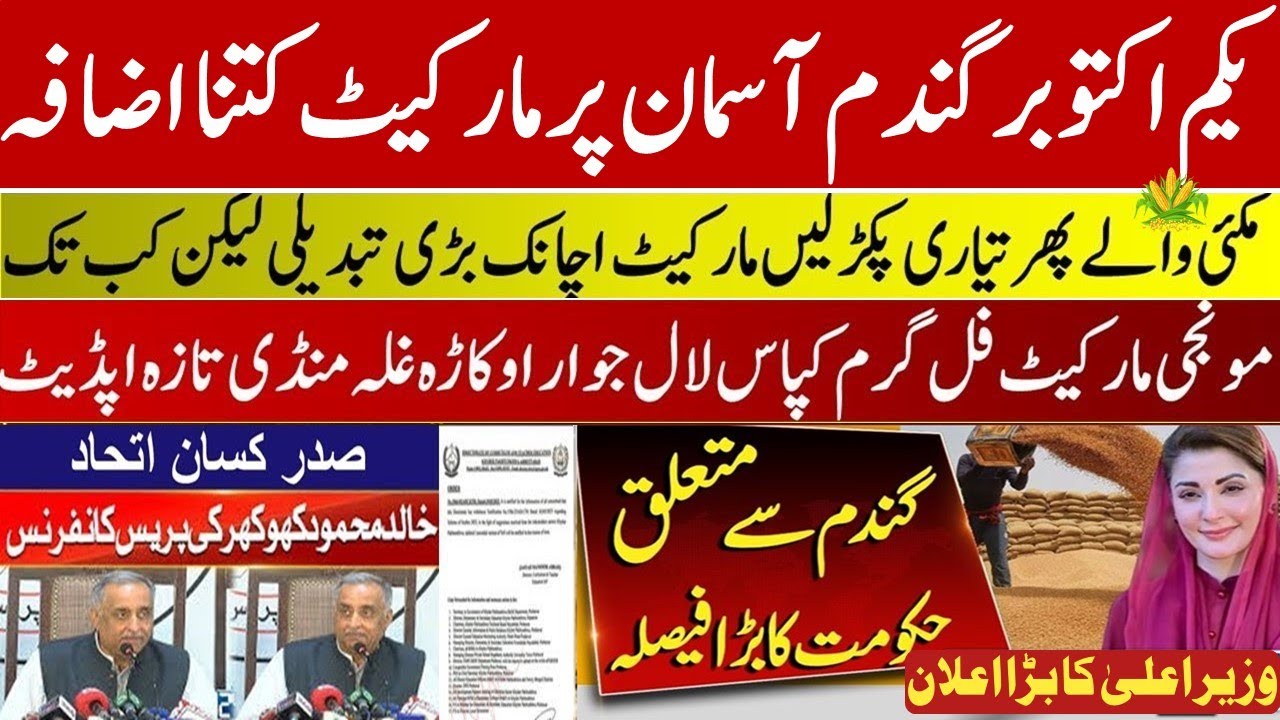 Today Wheat price in pakistan/گندم کا ریٹ 2025/munji makki till sarso ...