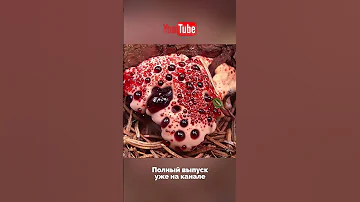 Кровожадный Гриб