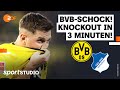 Borussia Dortmund – TSG Hoffenheim | Bundesliga, 23. Spieltag Saison 2023/24 | sportstudio image