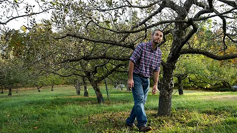 Restoring the Heirloom Apple Orchard