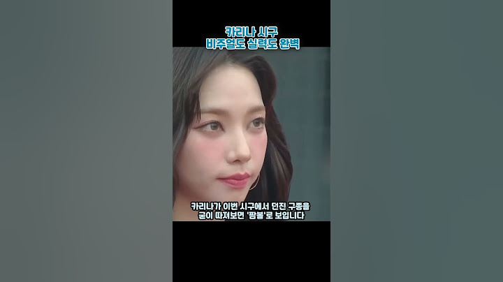 카리나 시구 비주얼도 실력도 완벽 #카리나 #카리나시구 #사직구장
