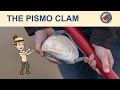 Pismo Clam Adventure: Junior Ranger Program