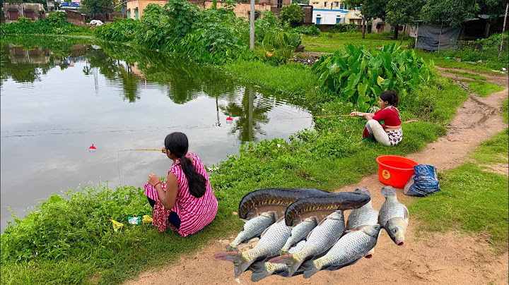 Fishing Video 😱|| Fishing techniques are very simple if the right method is known || Village fishing