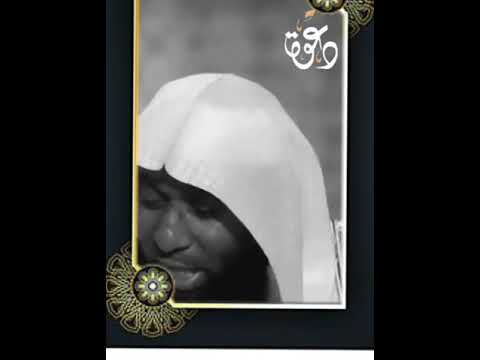 إذا ما حبيت الرسول بعد هذا الكلام راجع نفسك الشيخ بدر المشاري
