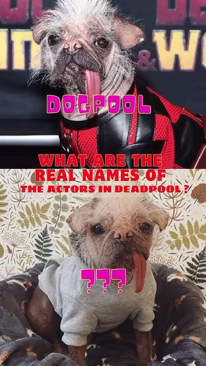 what-are-real-names-of-the-actors-deadpool-deadpool-dog-dogpool