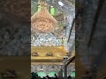 اتيه وبس درب الحسين ادله اشتراك ستوريات انستا لايك اكسبلور ترند دويتو Ycombinator اتيه وبس درب الحسين ادله اشتراك ستوريات انستا لايك اكسبلور ترند دويتو Ycombinator