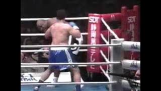 Bob Sapp vs Ray Sefo