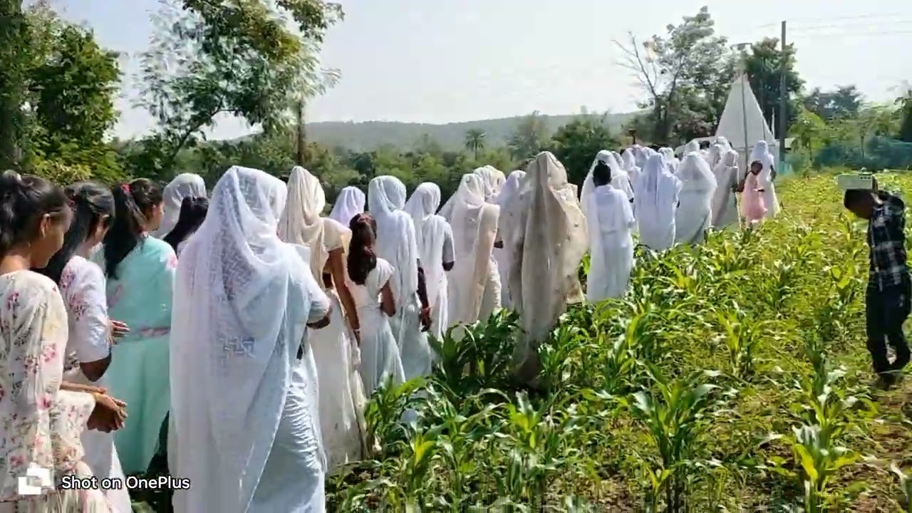ગુરુ રે ગોવિંદ નું દાળ