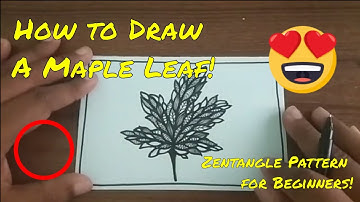 How to Draw A Maple Leaf - Zentangleart #inspired for beginners