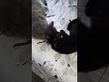 finally friends?!