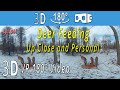 3D VR180° - Deer Feeding - Up Close and Personal (Eps.#44)