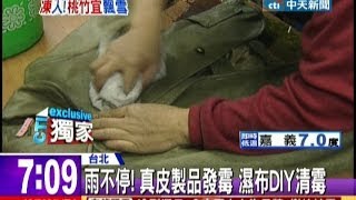 中天新聞》雨不停！ 真皮製品發霉濕布DIY清霉