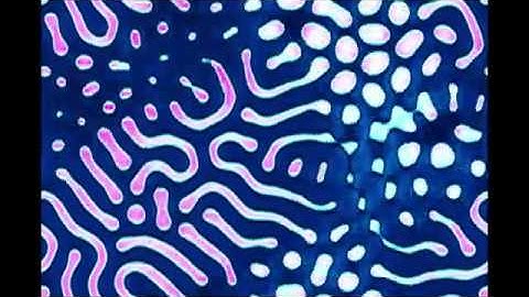 FitzHugh Nagumo Model Simulation Oscillating Tubes