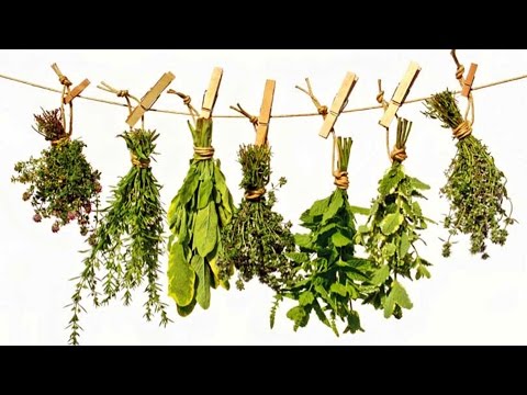 Video: El Uso De Aceites, Ungüentos Y Tinturas A Base De Plantas Aromáticas En Medicina - 2