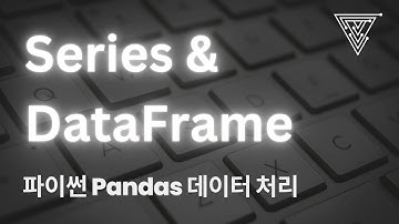 [Python 활용 실무 정형 데이터 분석] 04 Pandas Series 및 Dataframe 구조