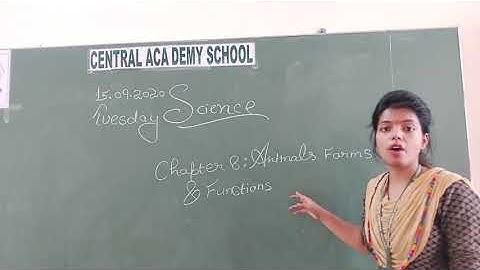 CLASS VI, SCIENCE, CHAPTER  8 : ANIMALS : FORMS AND FUNCTIONS
