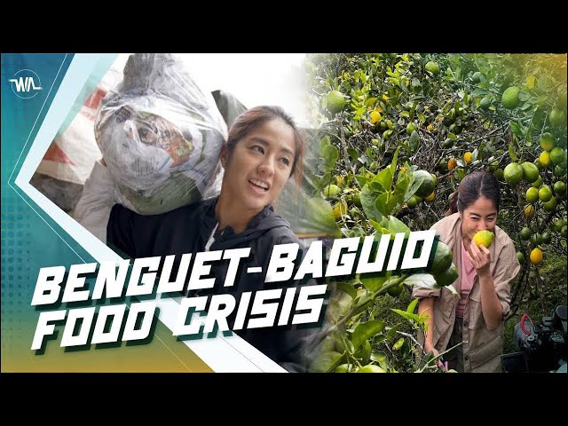 WIA Episode 4 | BENGUET-BAGUIO: Exploring the Food Crisis class=